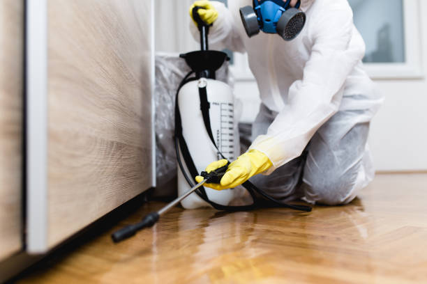 Best Residential Pest Control  in Mayflower, AR