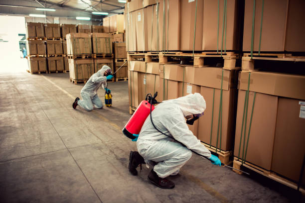 Best Local Pest Control Services  in Mayflower, AR