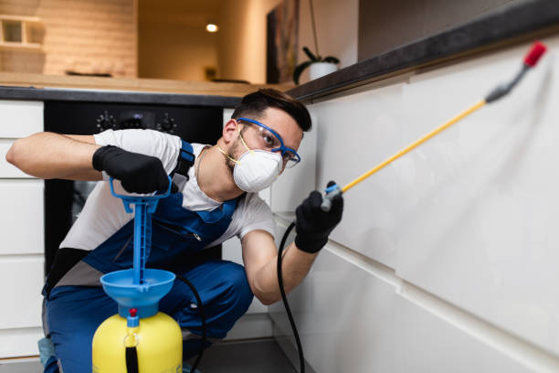 Best Affordable Pest Control Services  in Mayflower, AR