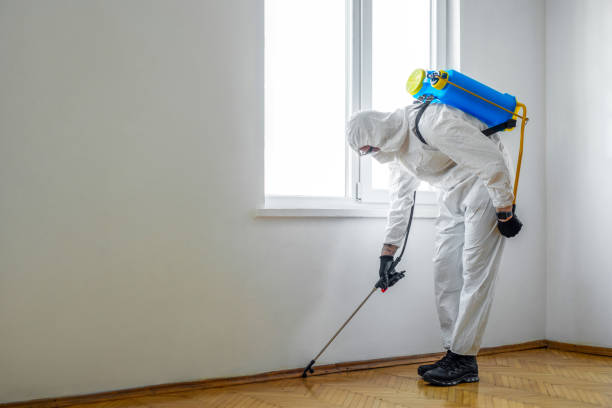 Best Pest Inspection Near Me  in Mayflower, AR