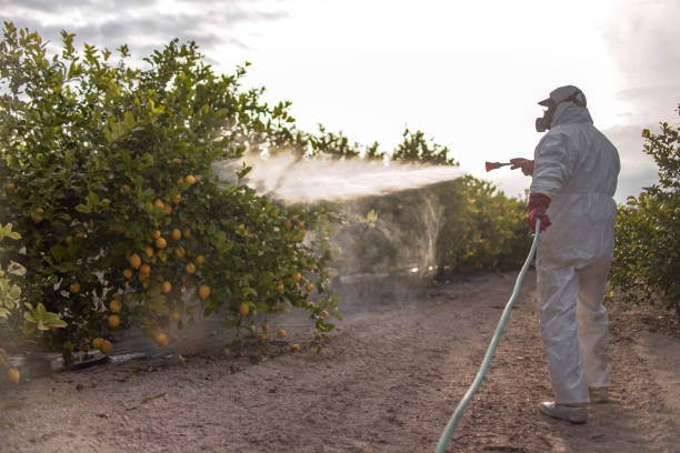 Best Commercial Pest Control Services  in Mayflower, AR