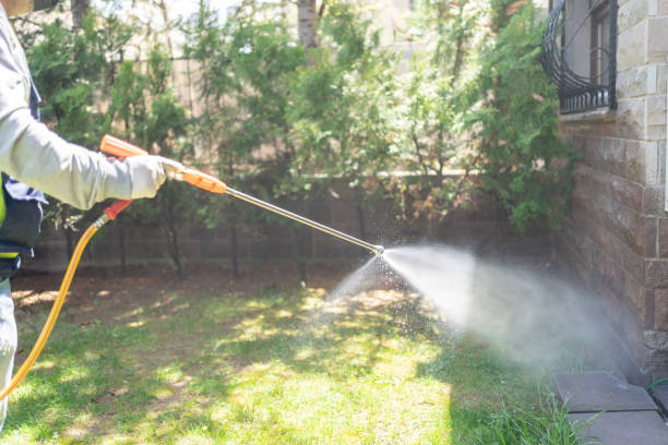 Best Best Pest Control Companies  in Mayflower, AR