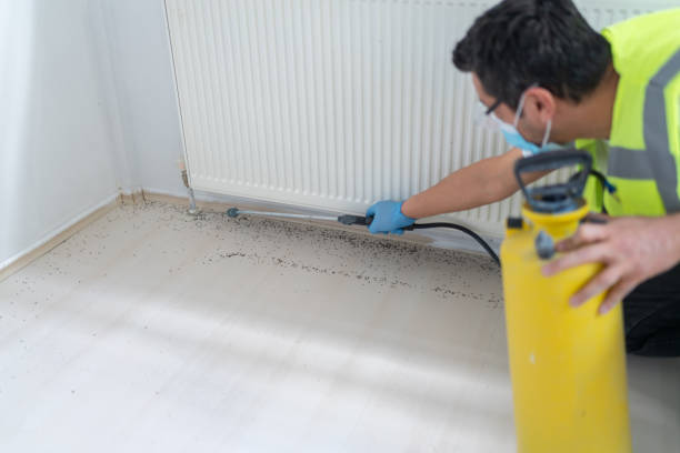 Professional Pest Control in Mayflower, AR
